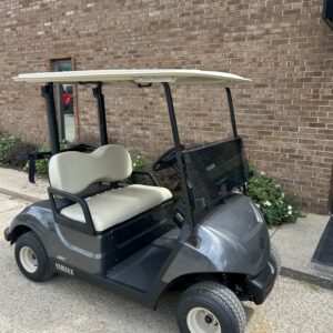 2025 Yamaha Drive2 48V Carbon