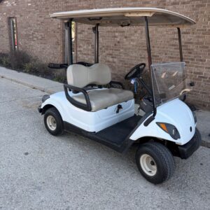 2015 Yamaha Drive Gas 2 Passenger - White