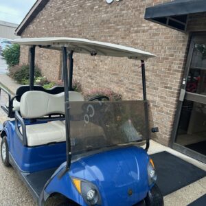 2015 Yamaha Drive Tanzanite Blue 4 Passenger Gas