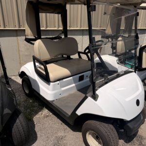 2022 Yamaha Drive2 48V AC -Lithium ion Battery Glacier White