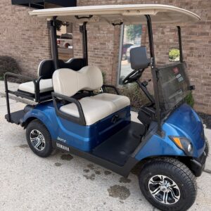 2021 Yamaha Drive2 EFI Quiet-tech Arctic Matte 4-passenger