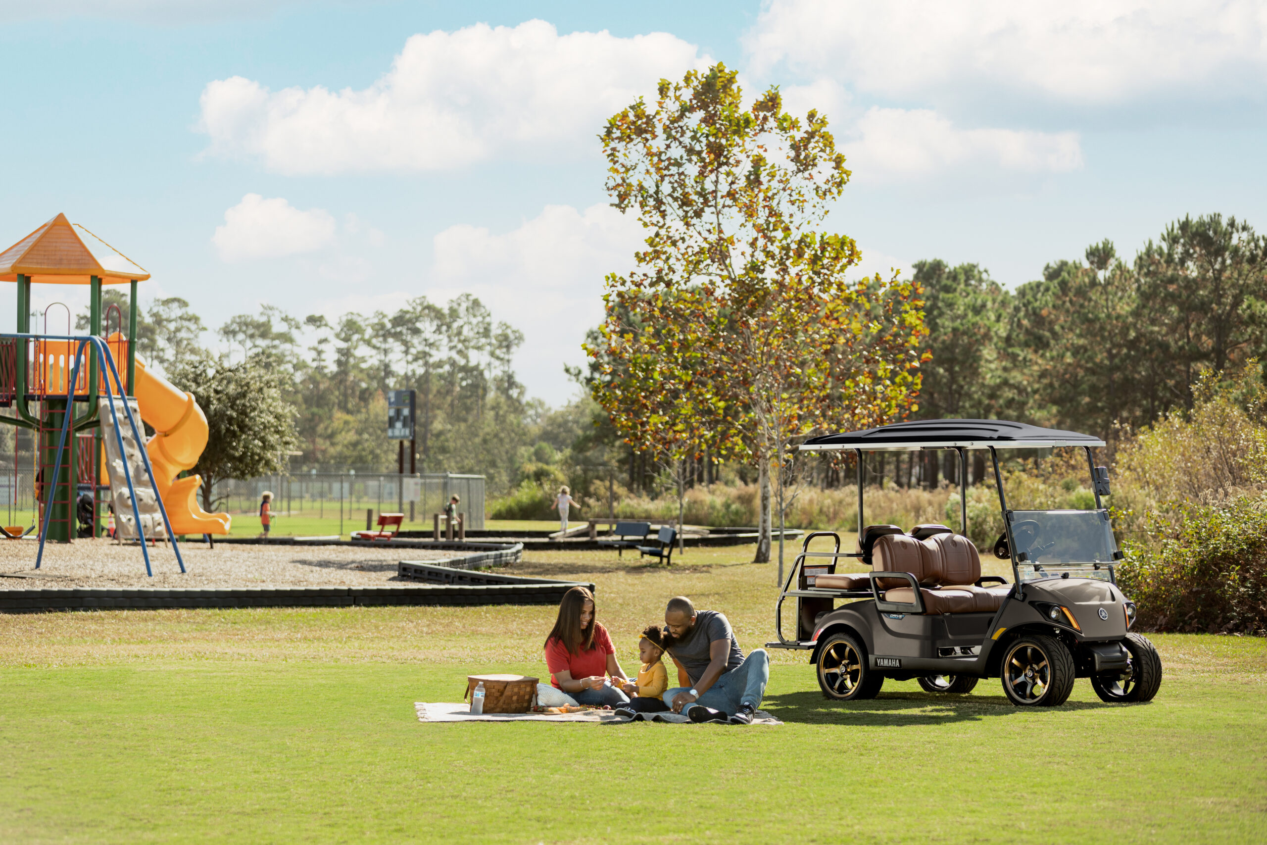Lithium vs. Lead-Acid Golf Cart