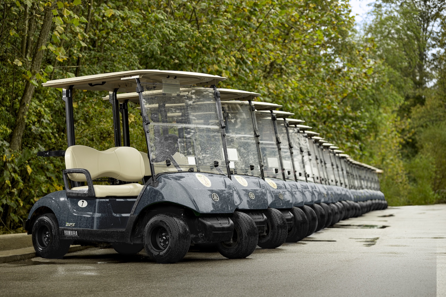 commercial golf cart fleet 