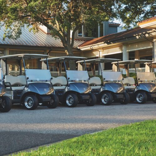 commercial golf cart fleet