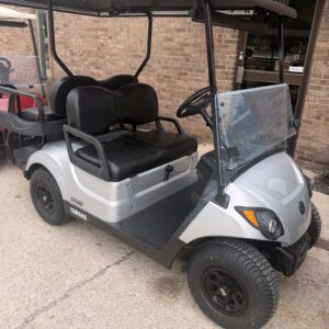 2020 Yamaha Drive2 EFI Quiet-tech Moonstone 4 Passenger Reconditioned
