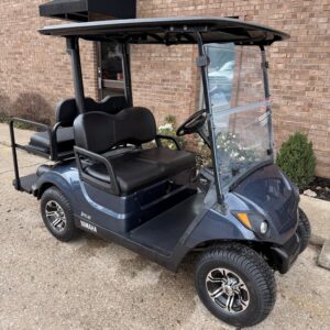 🔥2021 Yamaha Drive2 EFI  Bluestone 4 Passenger 🔥 Louisville