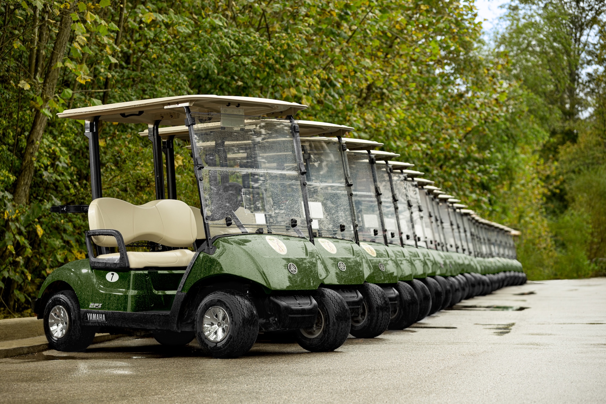 golf cart fleet total cost of ownership