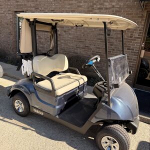 2026 Yamaha Drive2 48V AC Bluestone DEMO